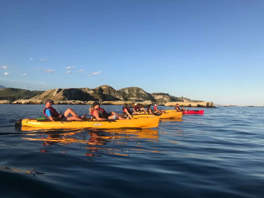 image n.15 of Kaikoura: Seal-Watching Pedal Kayak Tour activity in Kaikoura, uploaded by supplier