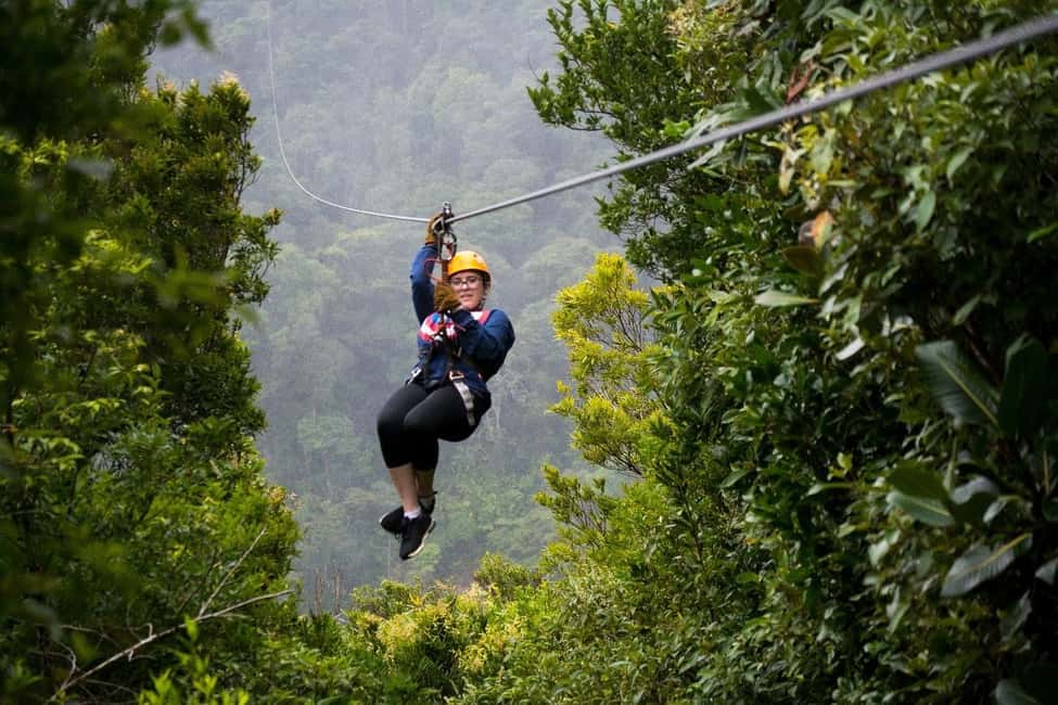 image n.1 of Monteverde: Jungle Zipline & Tarzan Swing with Transfer activity in Monteverde, uploaded by supplier