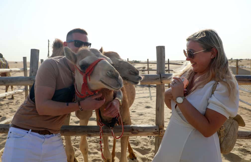 afbeelding n.8 van Dubai: Woestijnsafari, quad, sandboarden, kamelen & BBQ activiteit in Dubai, geüpload door aanbieder