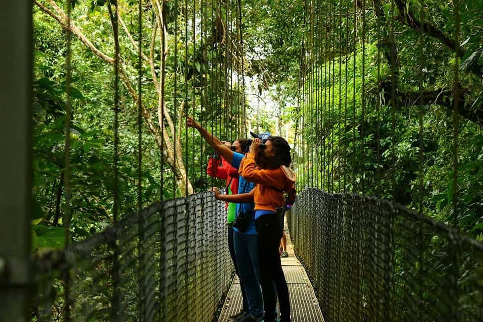 imagem n.1 de La Fortuna: Pontes Suspensas, Vulcão Arenal e Excursão às Cataratas atividade em La Fortuna, carregada pelo fornecedor