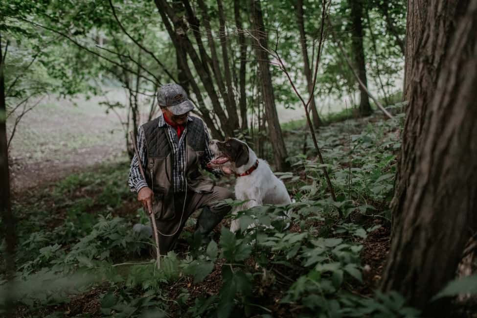billede nr.9 af aktiviteten Piemonte: Privat trøffeljagt tur med trøffelsmagning i Calamandrana, uploadet af udbyder