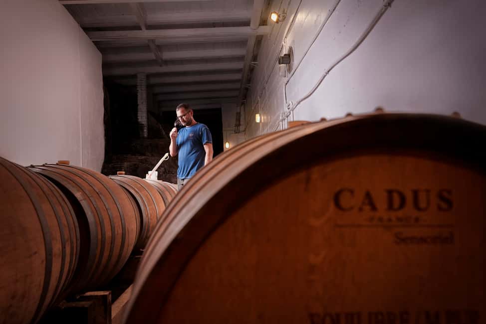 image n.6 of Chianti Colli Fiorentini Winery Tour 18km from Florence activity in Florence, uploaded by supplier