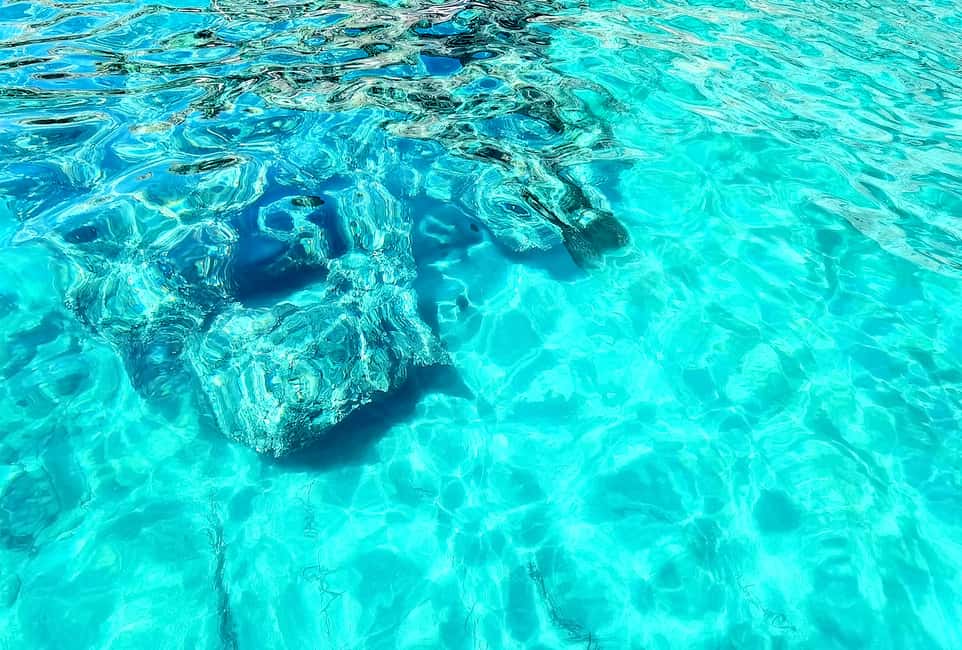 Immagine nº 19 di Dubrovnik: Grotta Azzurra e tour in barca della spiaggia di Sunj con bevande attività a Dalmazia, caricata dal fornitore