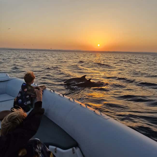 Immagine nº 14 di Orsera: Avventura al tramonto con osservazione dei delfini in motoscafo attività a Orsera, caricata dal fornitore