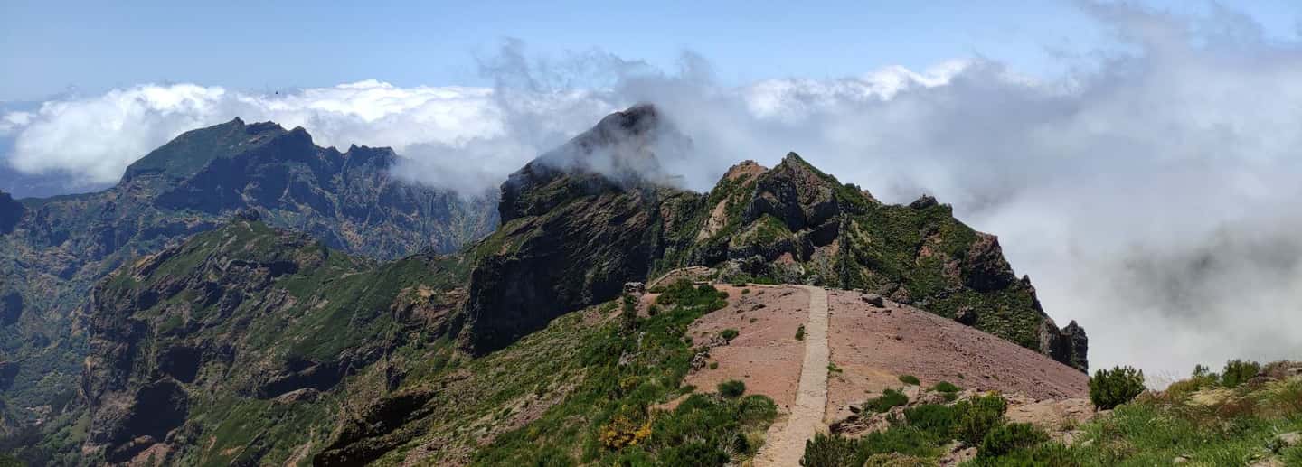 bild nr.13 av Från Funchal: Transfer till Pico do Arieiro Trail aktivitet i Madeira, uppladdad av arrangören