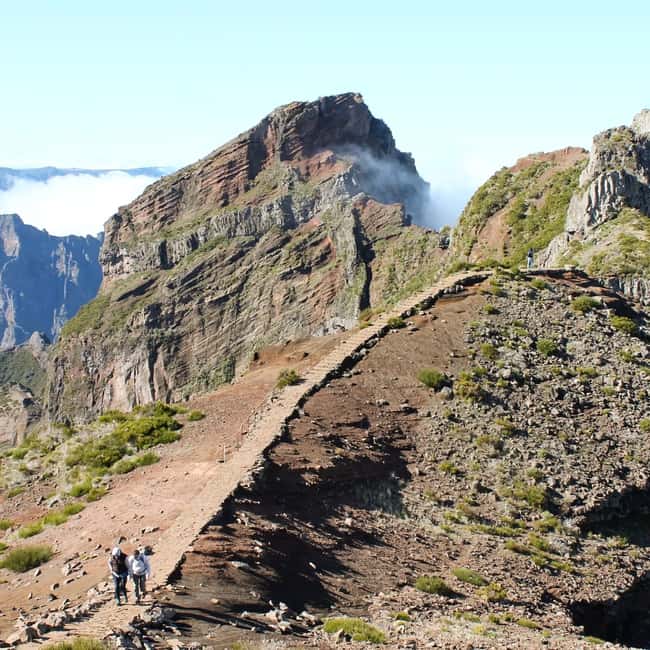 bild nr.12 av Från Funchal: Transfer till Pico do Arieiro Trail aktivitet i Madeira, uppladdad av arrangören