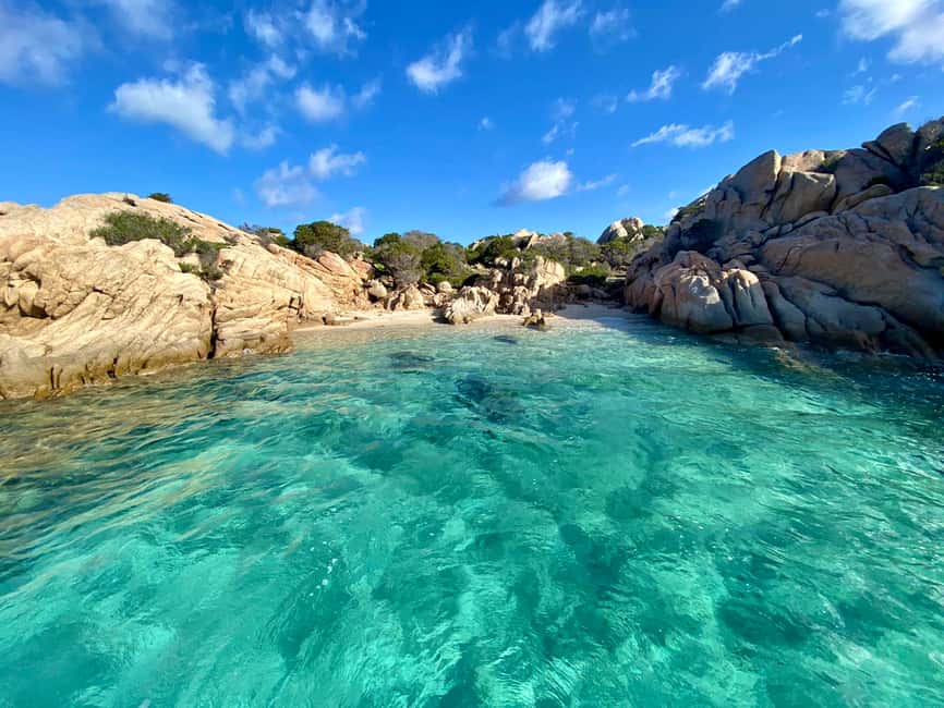 Immagine nº 5 di Da La Maddalena e Palau: Tour di Budelli e Santa Maria attività a Sardegna, caricata dal fornitore