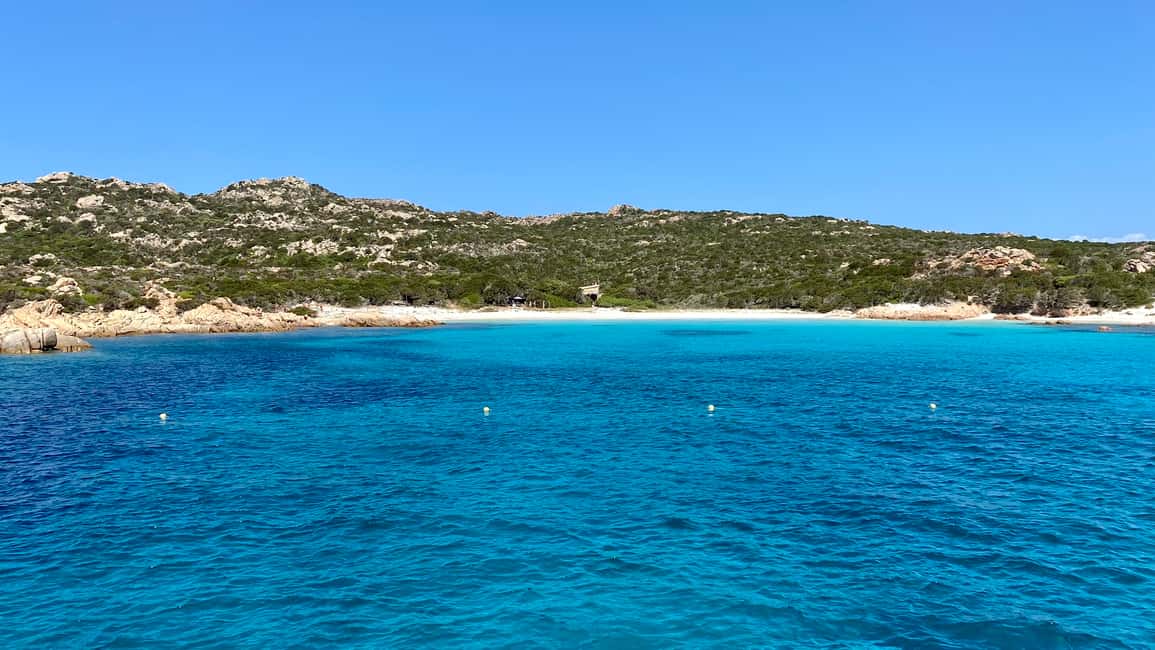 Immagine nº 8 di Da La Maddalena e Palau: Tour di Budelli e Santa Maria attività a Sardegna, caricata dal fornitore