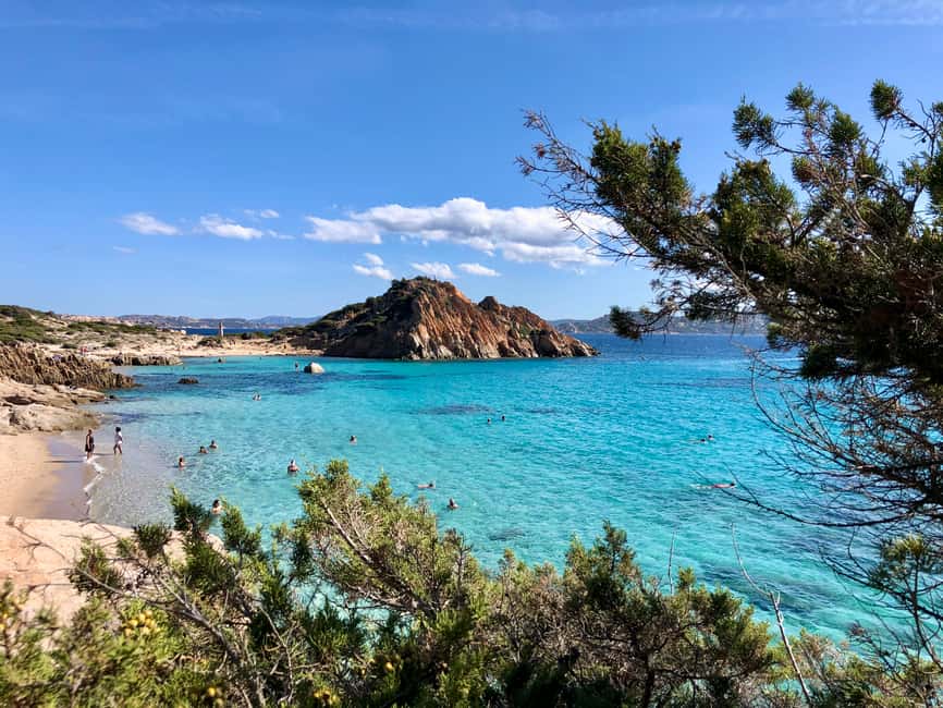 Immagine nº 11 di Da La Maddalena e Palau: Tour di Budelli e Santa Maria attività a Sardegna, caricata dal fornitore