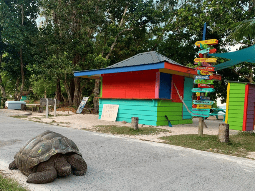 image n.8 of From Mahe: Praslin and La Digue Tour with Transfer and Lunch activity in Grand Anse, uploaded by supplier