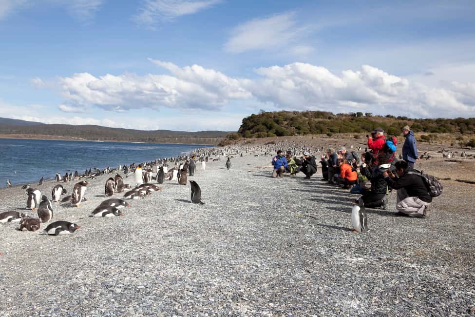 imagem n.13 de Ushuaia: Passeio de barco pelo Canal de Beagle e experiência com pinguins atividade em Terra do Fogo, carregada pelo fornecedor
