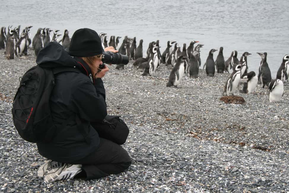 imagem n.14 de Ushuaia: Passeio de barco pelo Canal de Beagle e experiência com pinguins atividade em Terra do Fogo, carregada pelo fornecedor