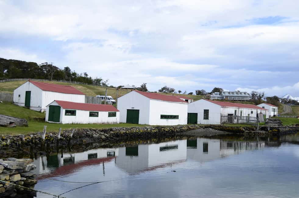 imagem n.8 de Ushuaia: Passeio de barco pelo Canal de Beagle e experiência com pinguins atividade em Terra do Fogo, carregada pelo fornecedor