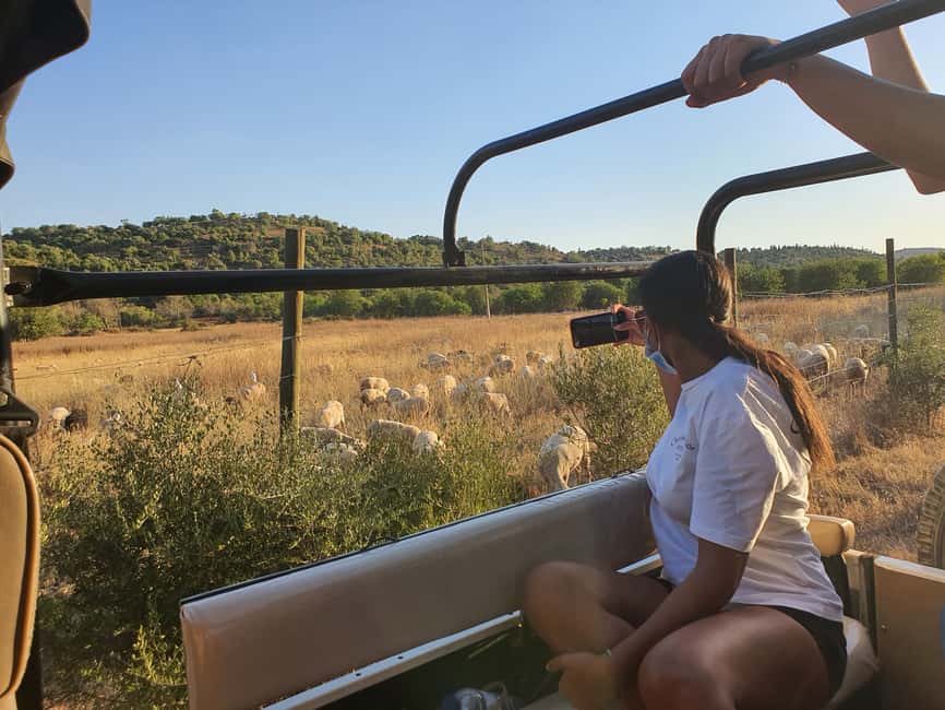 image n.11 of Albufeira: Safari Excursion in the Algarve Mountains activity in Alte, uploaded by supplier
