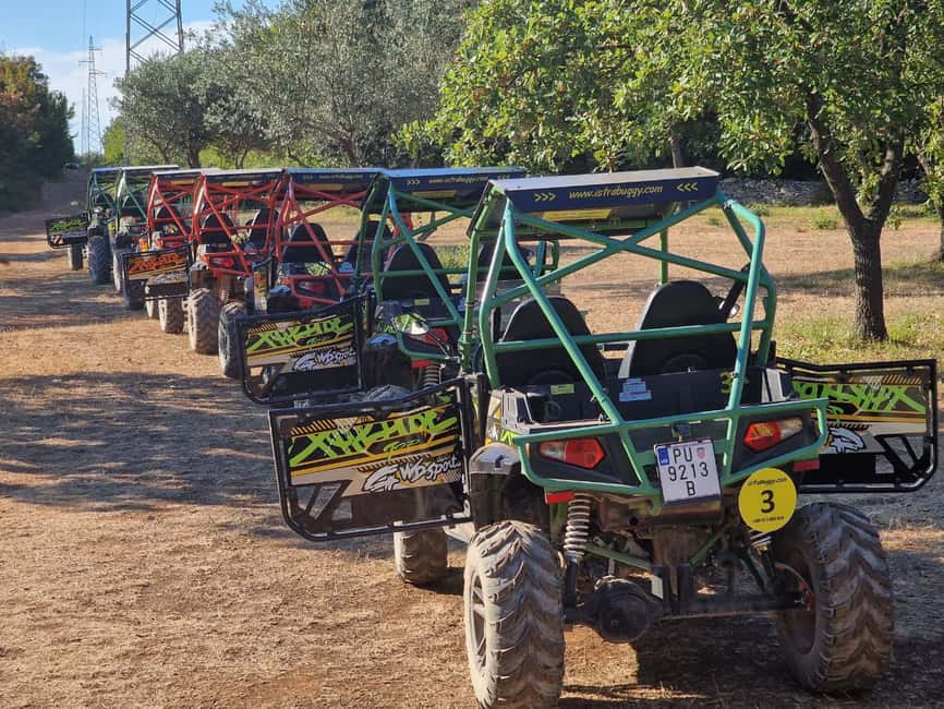 Bild Nr. 6 von Pula&Fažana: Geführte Istra-Buggy-Tour im Herzen Istriens Aktivität in Gespanschaft Istrien, hochgeladen vom Anbieter
