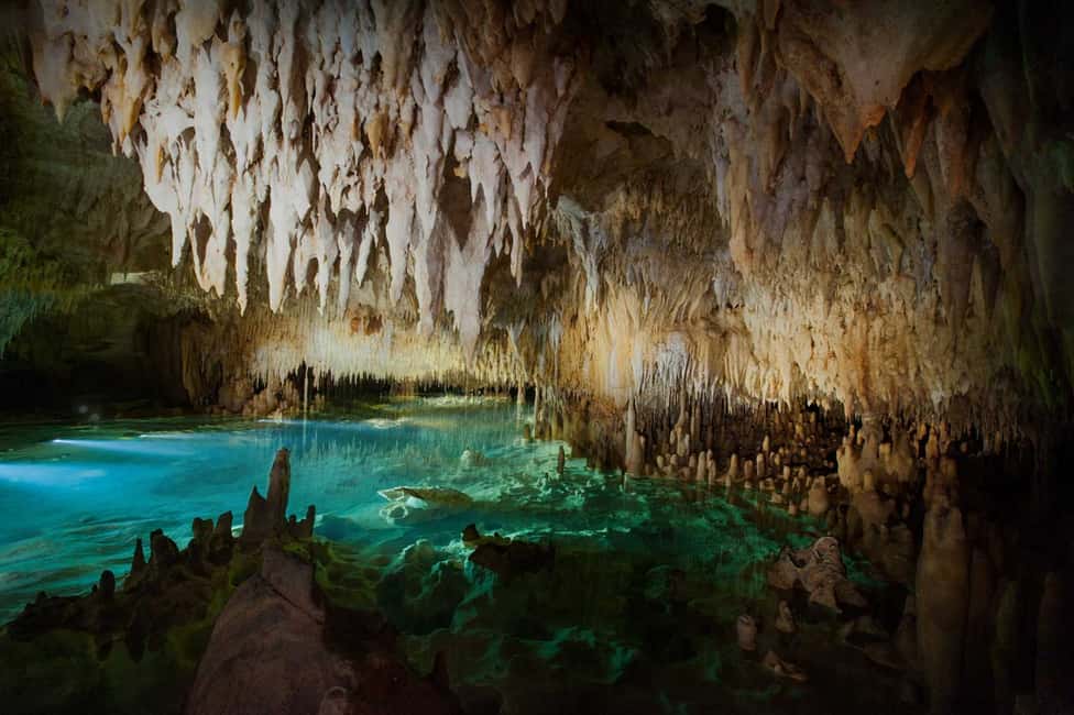 image n.3 of From George Town: Cayman Crystal Caves Tour with Transfer activity in Grand Cayman, uploaded by supplier