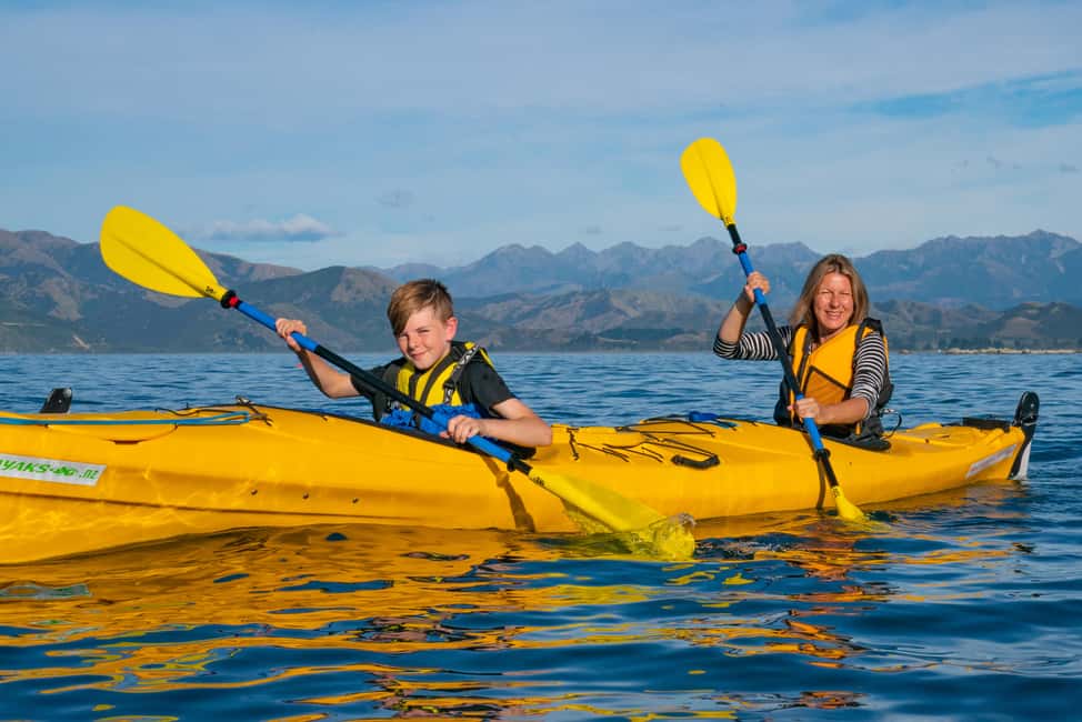 image n.5 of Kaikoura: Guided Family Kayaking Adventure activity in Kaikoura, uploaded by supplier