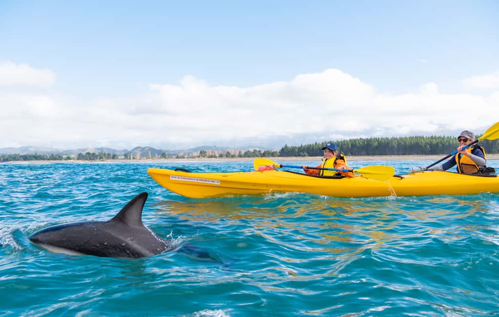 image n.3 of Kaikoura: Guided Family Kayaking Adventure activity in Kaikoura, uploaded by supplier