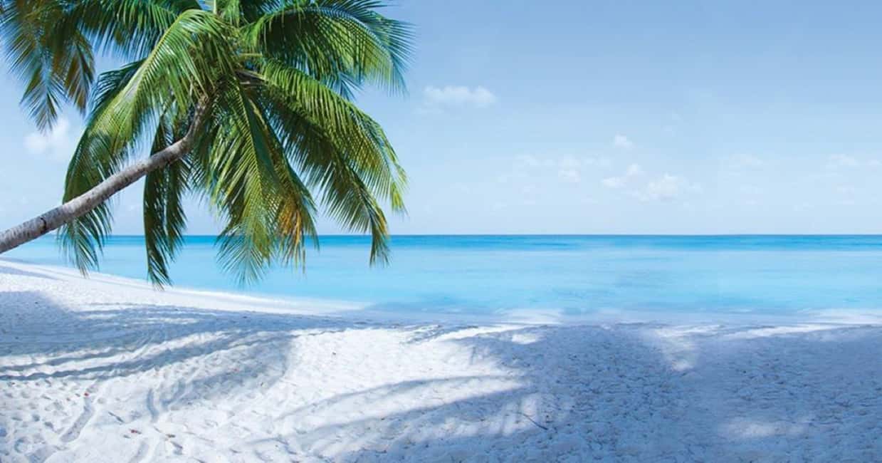 image n.2 of From George Town: Grand Cayman Seven Mile Beach Trip activity in Grand Cayman, uploaded by supplier