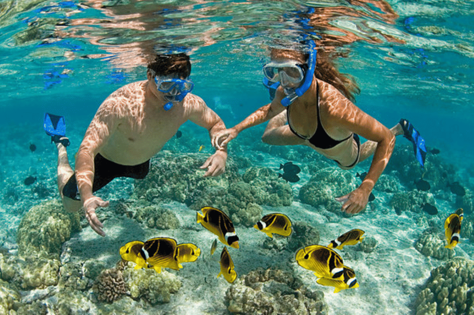 image n.4 of From George Town: Grand Cayman Seven Mile Beach Trip activity in Grand Cayman, uploaded by supplier