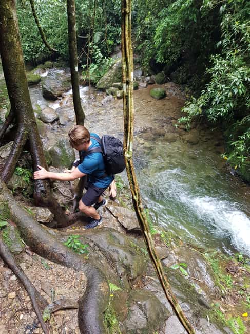 image n.17 of From Medellin Waterfalls: Guided Hiking Tour in Nature activity in Medellin, uploaded by supplier