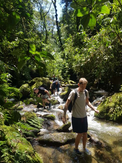 image n.19 of From Medellin Waterfalls: Guided Hiking Tour in Nature activity in Medellin, uploaded by supplier