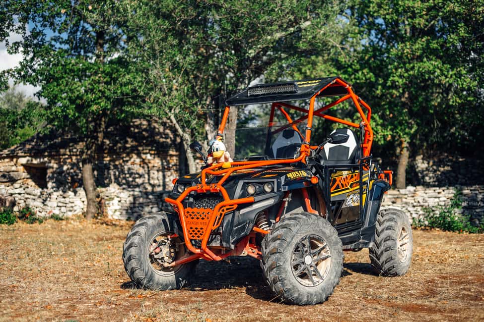 Bild Nr. 3 von Pula&Fažana: Geführte Istra-Buggy-Tour im Herzen Istriens Aktivität in Gespanschaft Istrien, hochgeladen vom Anbieter