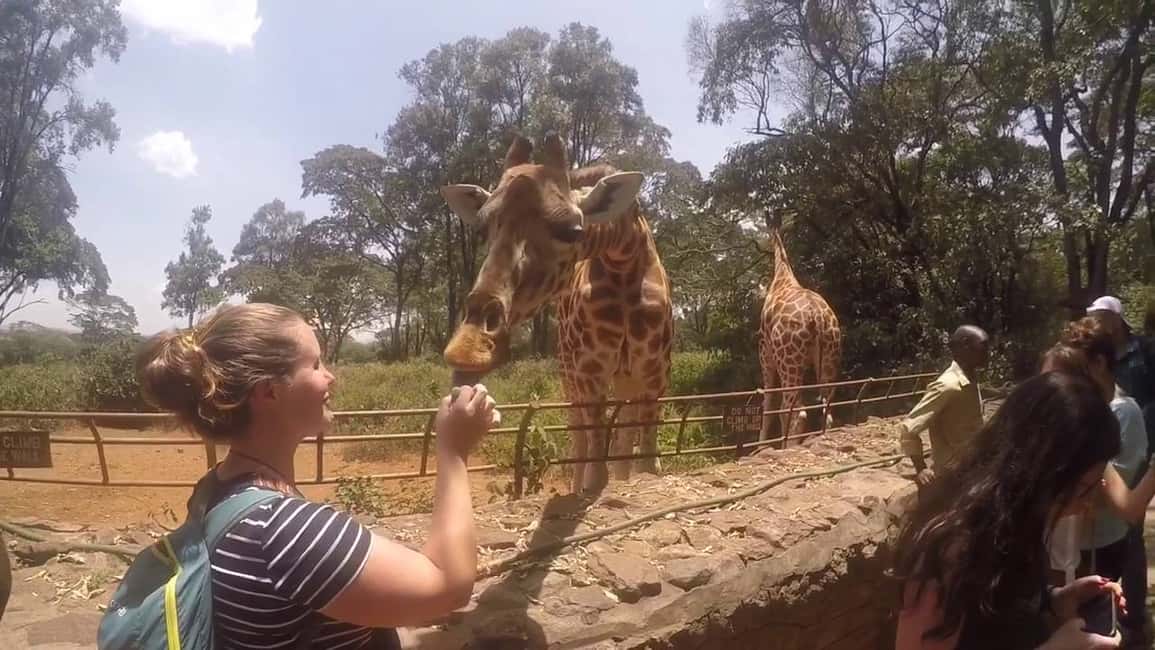 imagen n.º 7 de Nairobi: Parque Nacional, Orfanato de Elefantes y Centro de Jirafas actividad en Nairobi, subida por el proveedor