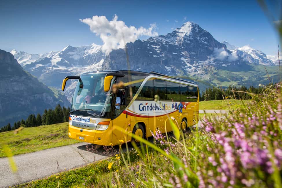 imagen n.º 5 de Suiza: Pase Regional del Oberland Bernés en 2ª Clase actividad en Interlaken, subida por el proveedor
