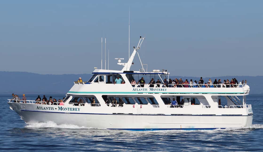 Bild Nr. 6 von Monterey: Walbeobachtungstour mit einem Meeresführer Aktivität in Kalifornien, hochgeladen vom Anbieter