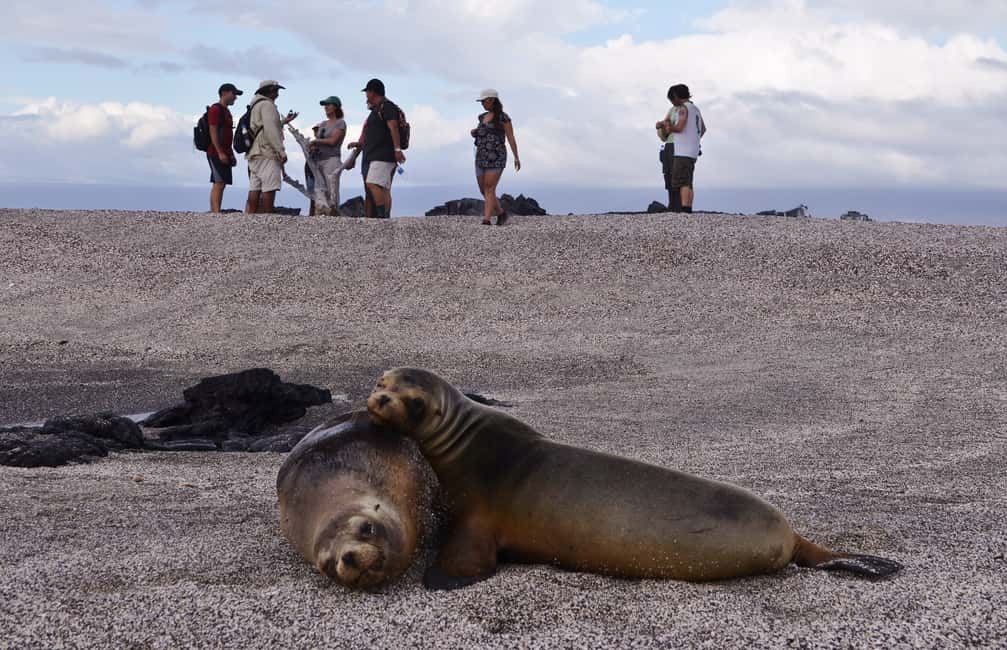 image n.11 of San Cristóbal: 6-Day 4 Galápagos Islands Adventure Tour activity in Puerto Ayora, uploaded by supplier