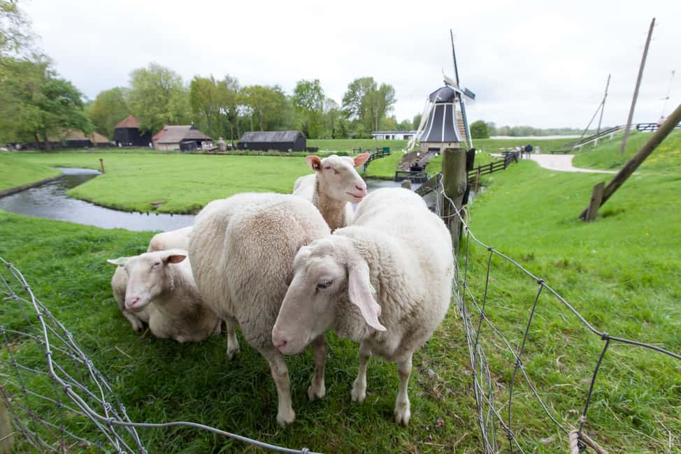 image n.12 of Enkhuizen: Zuiderzee Open Air Museum Entrance Tickets activity in Enkhuizen, uploaded by supplier