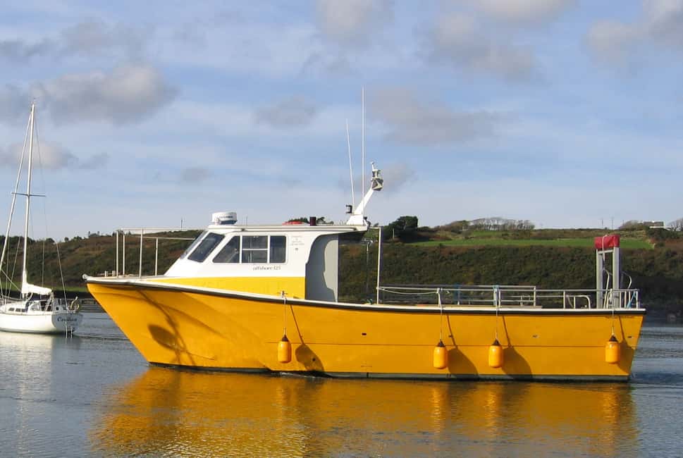 imagem n.7 de County Cork: passeio de barco para observação de baleias e golfinhos atividade em Connacht, carregada pelo fornecedor