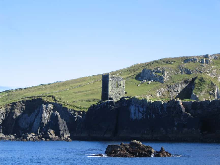 imagem n.10 de County Cork: passeio de barco para observação de baleias e golfinhos atividade em Connacht, carregada pelo fornecedor