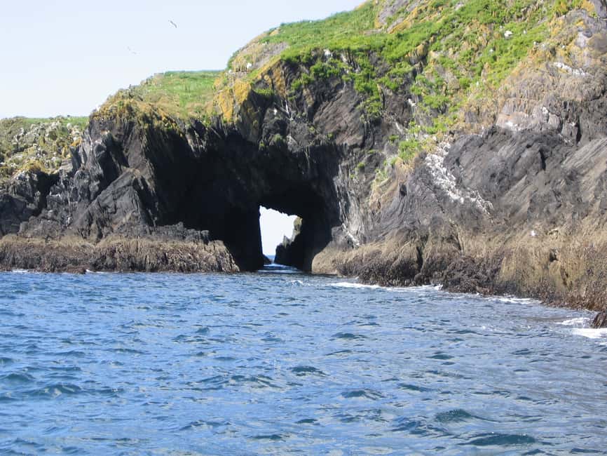 imagem n.12 de County Cork: passeio de barco para observação de baleias e golfinhos atividade em Connacht, carregada pelo fornecedor