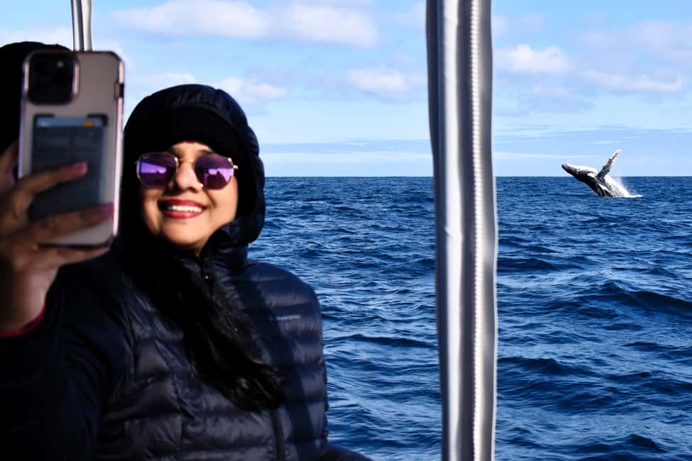 image n.2 of From Fremantle: 2-Hour Luxury Whale-Watching Cruise activity in Fremantle, uploaded by supplier