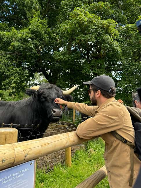 imagem n.14 de De Glasgow: Excursão a Loch Lomond, Trossachs e Castelo de Stirling atividade em Balloch, carregada pelo fornecedor