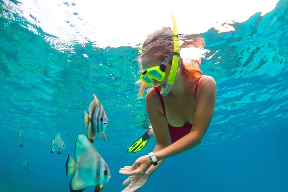 Obraz nr 2 z atrakcji Cancun: Przygoda w dżungli z łodzią motorową i nurkowaniem z rurką w Cancún, przesłany przez organizatora