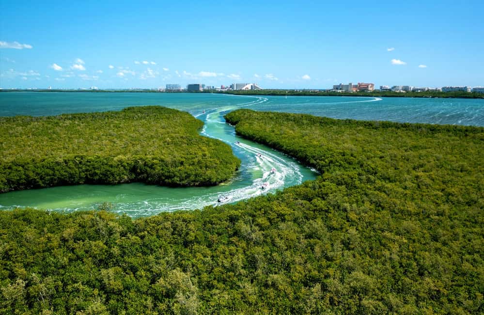 Obraz nr 9 z atrakcji Cancun: Przygoda w dżungli z łodzią motorową i nurkowaniem z rurką w Cancún, przesłany przez organizatora