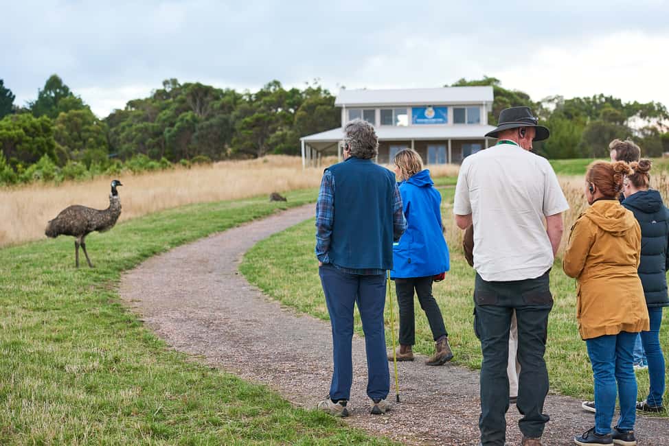 image n.6 of Apollo Bay: Dusk Discovery Great Ocean Road Wildlife Tour activity in Apollo Bay, uploaded by supplier
