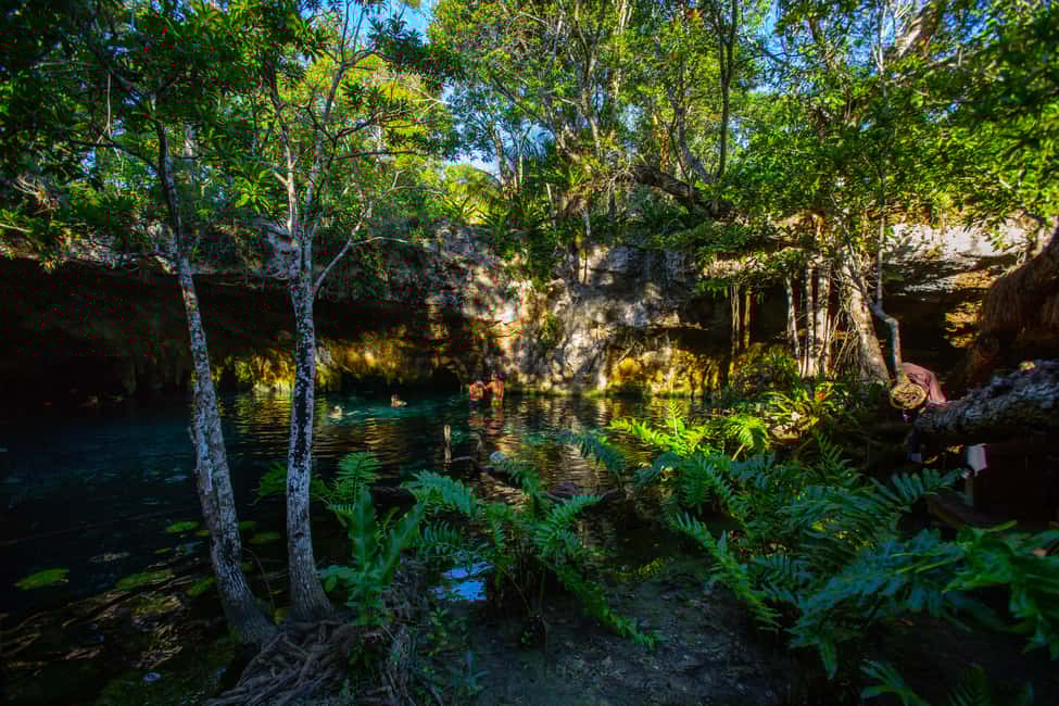 Image N°7 de Depuis Riviera Maya : 3 Cenotes Adventure Tour avec Déjeuner activité à Tulum, publiée par le prestataire