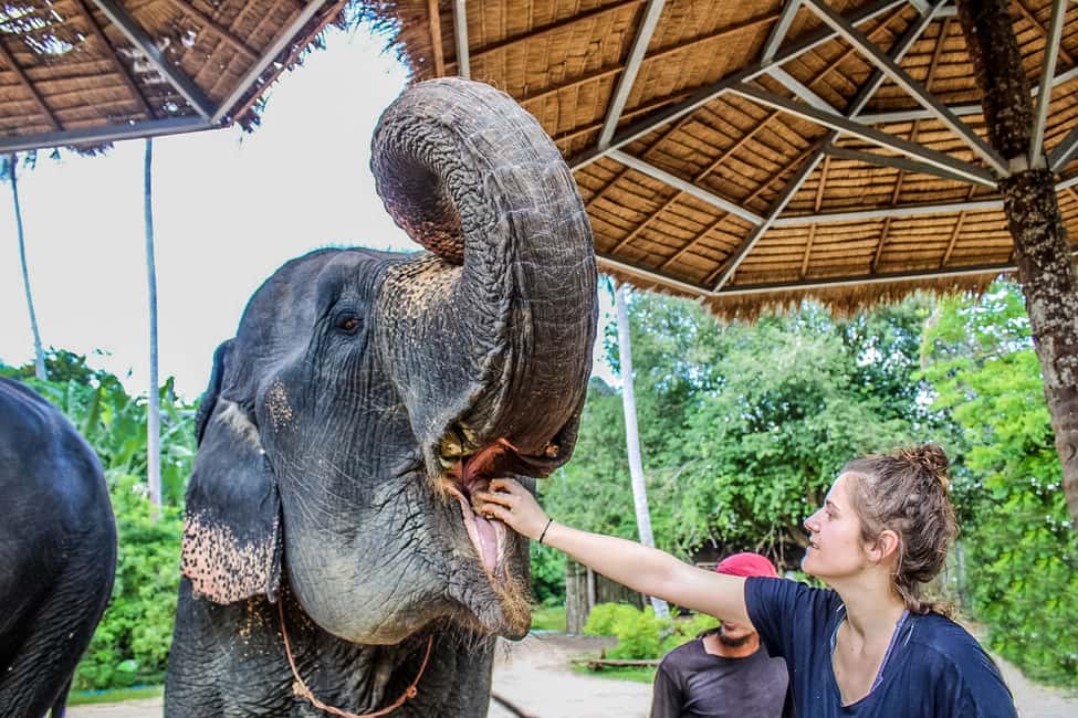 afbeelding n.11 van Krabi: Ao Nang Elephant Sanctuary halfdaagse tour activiteit in Ao Nang, geüpload door aanbieder