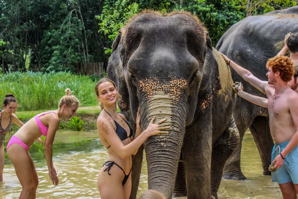 afbeelding n.3 van Krabi: Ao Nang Elephant Sanctuary halfdaagse tour activiteit in Ao Nang, geüpload door aanbieder