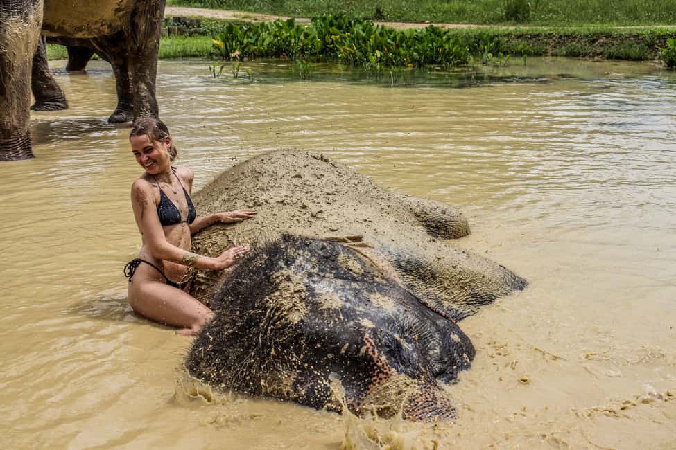 afbeelding n.7 van Krabi: Ao Nang Elephant Sanctuary halfdaagse tour activiteit in Ao Nang, geüpload door aanbieder