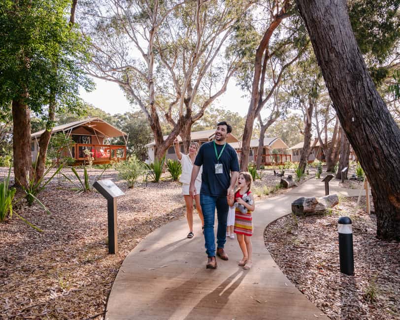 image n.3 of Port Stephens: Koala Sanctuary General Admission Ticket activity in Anna Bay, uploaded by supplier