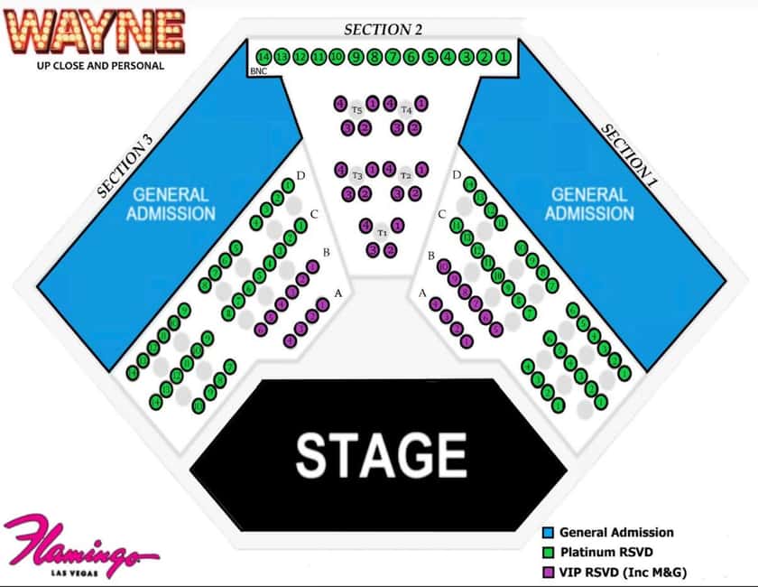 image n.4 of Las Vegas: Wayne Newton - Up Close and Personal activity in Las Vegas, uploaded by supplier