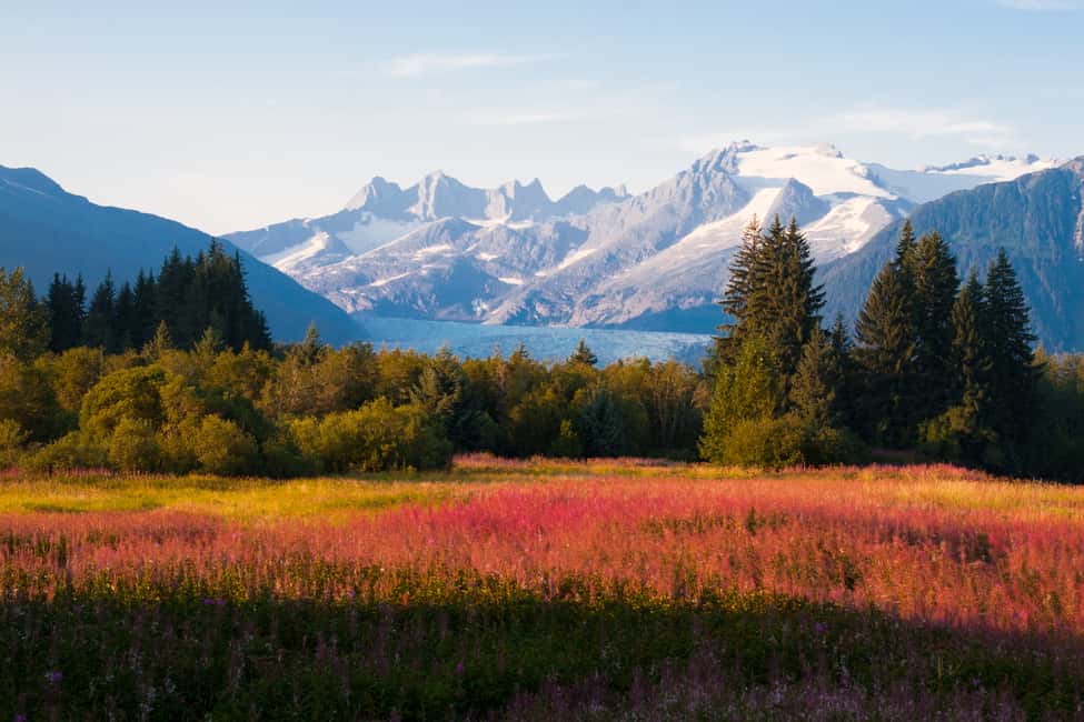image n.28 of Anchorage: Kenai Fjords & Denali National Park 5 Day Tour activity in Anchorage, uploaded by supplier