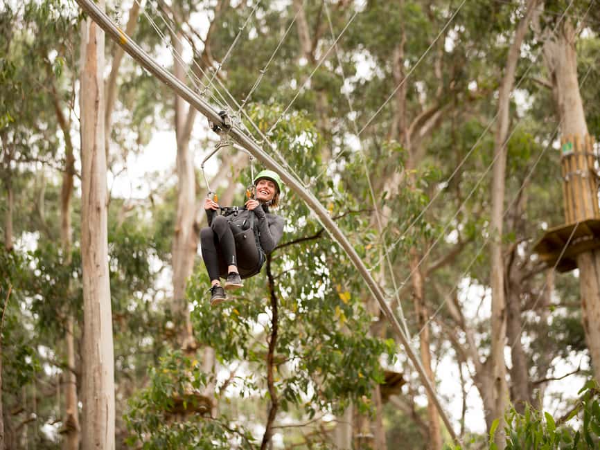 image n.1 of Lorne: Live Wire Park Ticket with Zip Line Rollercoaster activity in Lorne, uploaded by supplier