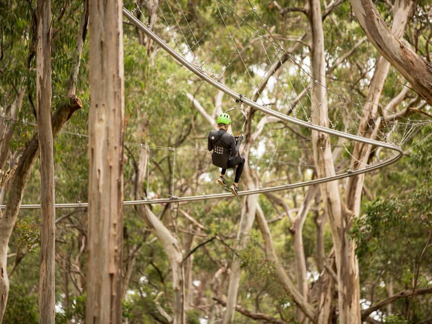 image n.3 of Lorne: Live Wire Park Ticket with Zip Line Rollercoaster activity in Lorne, uploaded by supplier