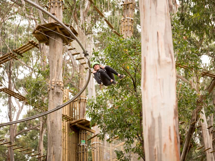 image n.4 of Lorne: Live Wire Park Ticket with Zip Line Rollercoaster activity in Lorne, uploaded by supplier